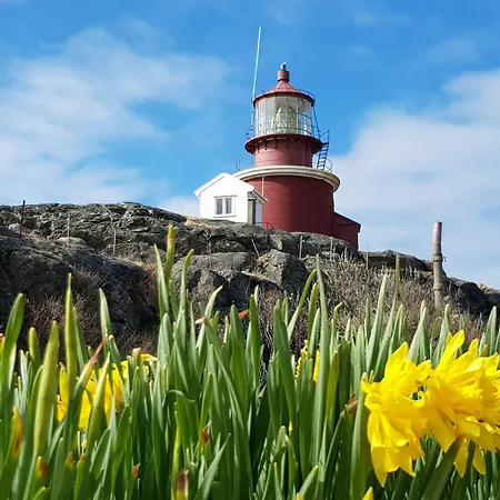 - Sildaloftet بيت شباب *