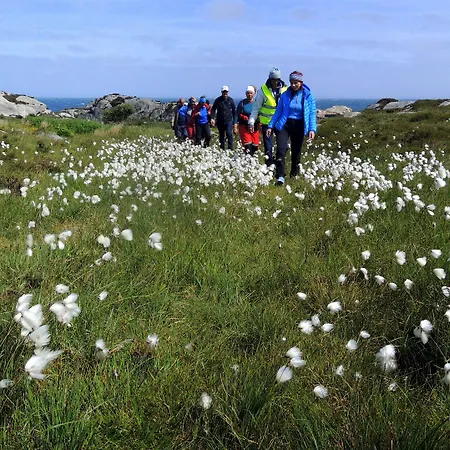 - Sildaloftet بيت شباب