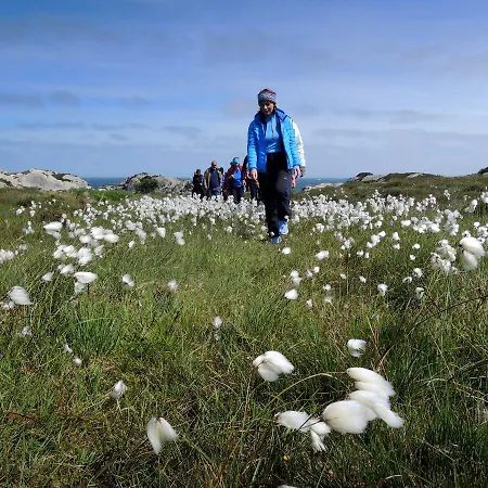 - Sildaloftet Hostel *