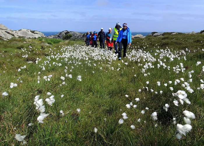 - Sildaloftet Хостел